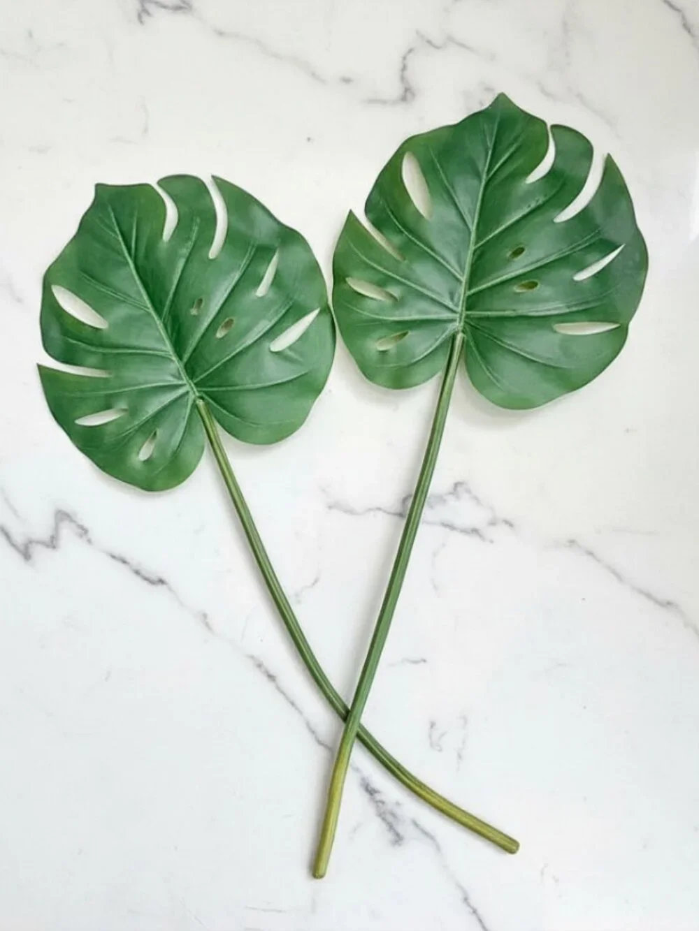 Set/2 Monstera Leaf Stems